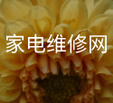 氟塑料自吸泵安裝及注意事項